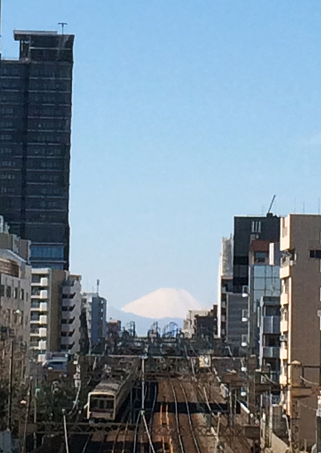 幡ヶ谷富士 その1